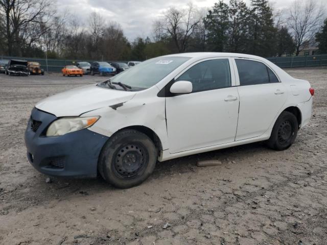 TOYOTA COROLLA BA