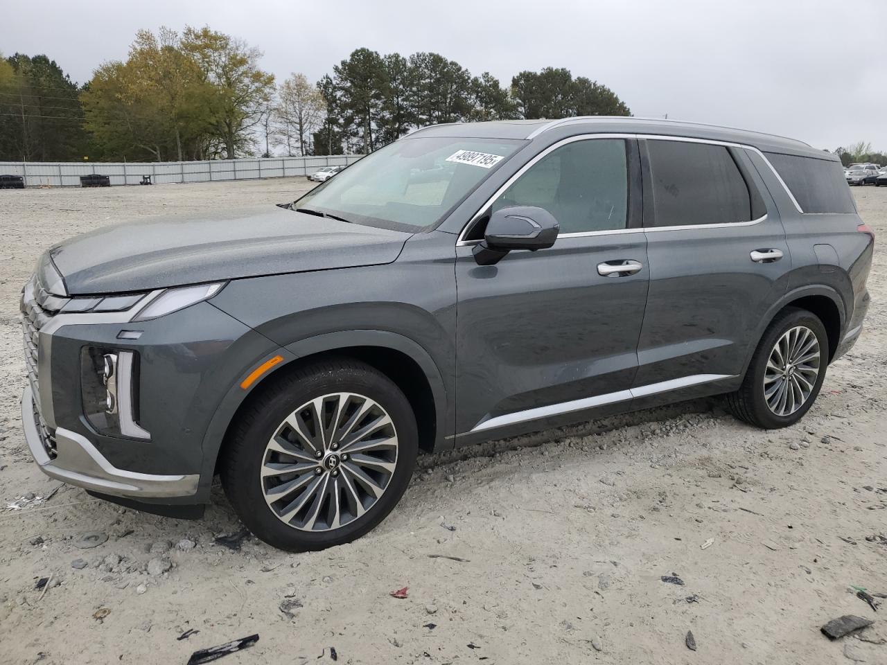 HYUNDAI PALISADE CALLIGRAPHY
