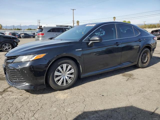Vin: 4t1b31hkxku510469, lot: 50025545, toyota camry le 2019 img_1