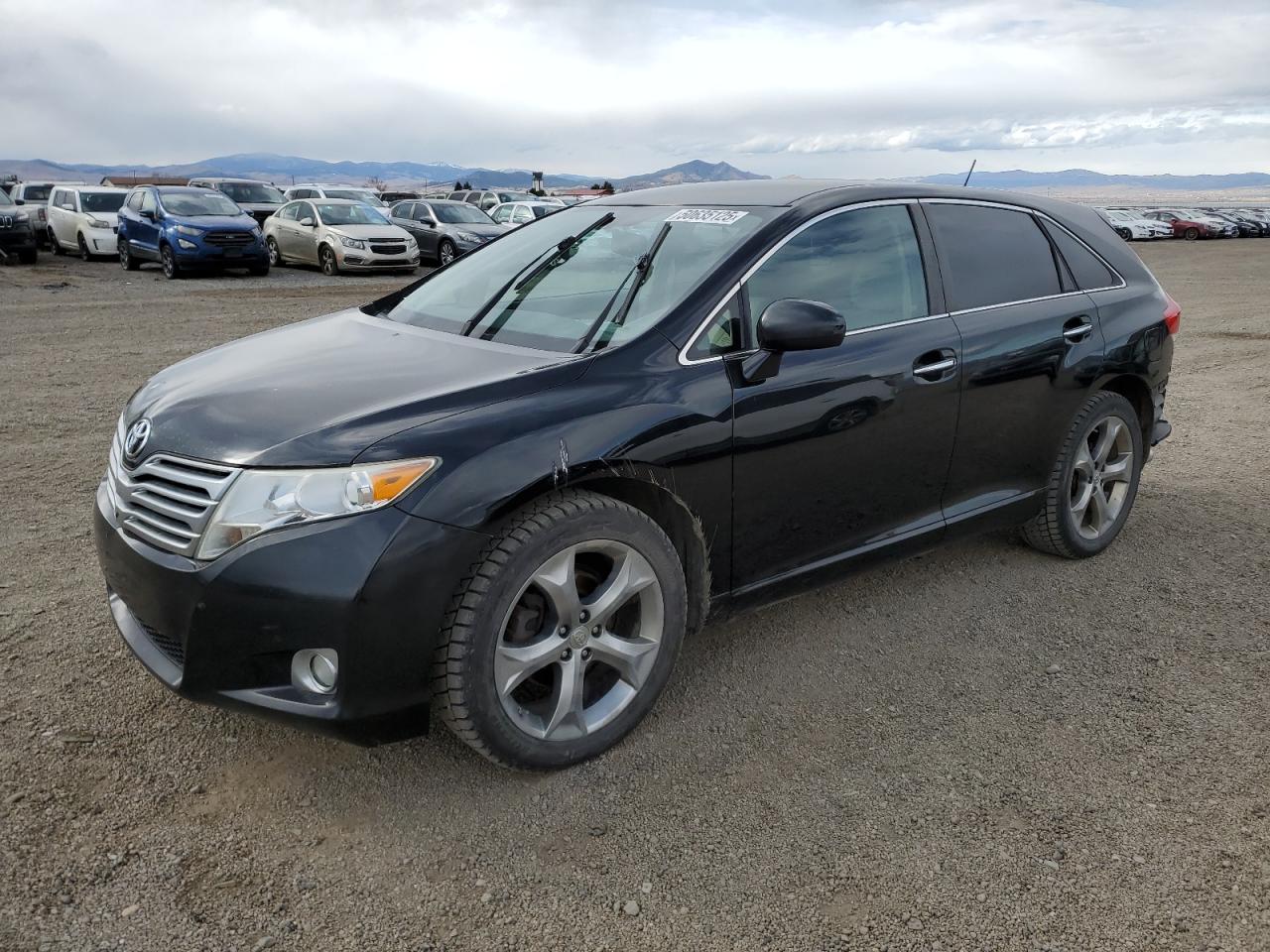 TOYOTA VENZA