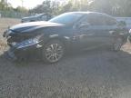 2023 LEXUS ES 350 BAS - 58ACZ1B13PU157785