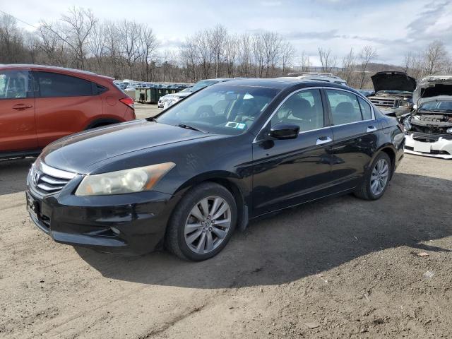Vin: 5kbcp3f89bb001595, lot: 50869695, honda accord exl 2011 img_1