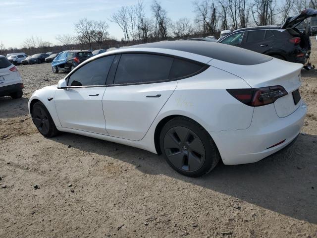 Vin: 5yj3e1ea1pf548591, lot: 48145535, tesla model 3 20232