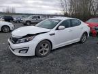 2015 KIA OPTIMA LX - KNAGM4A71F5621908