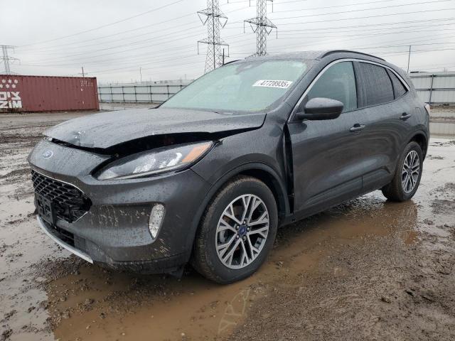 FORD ESCAPE SEL