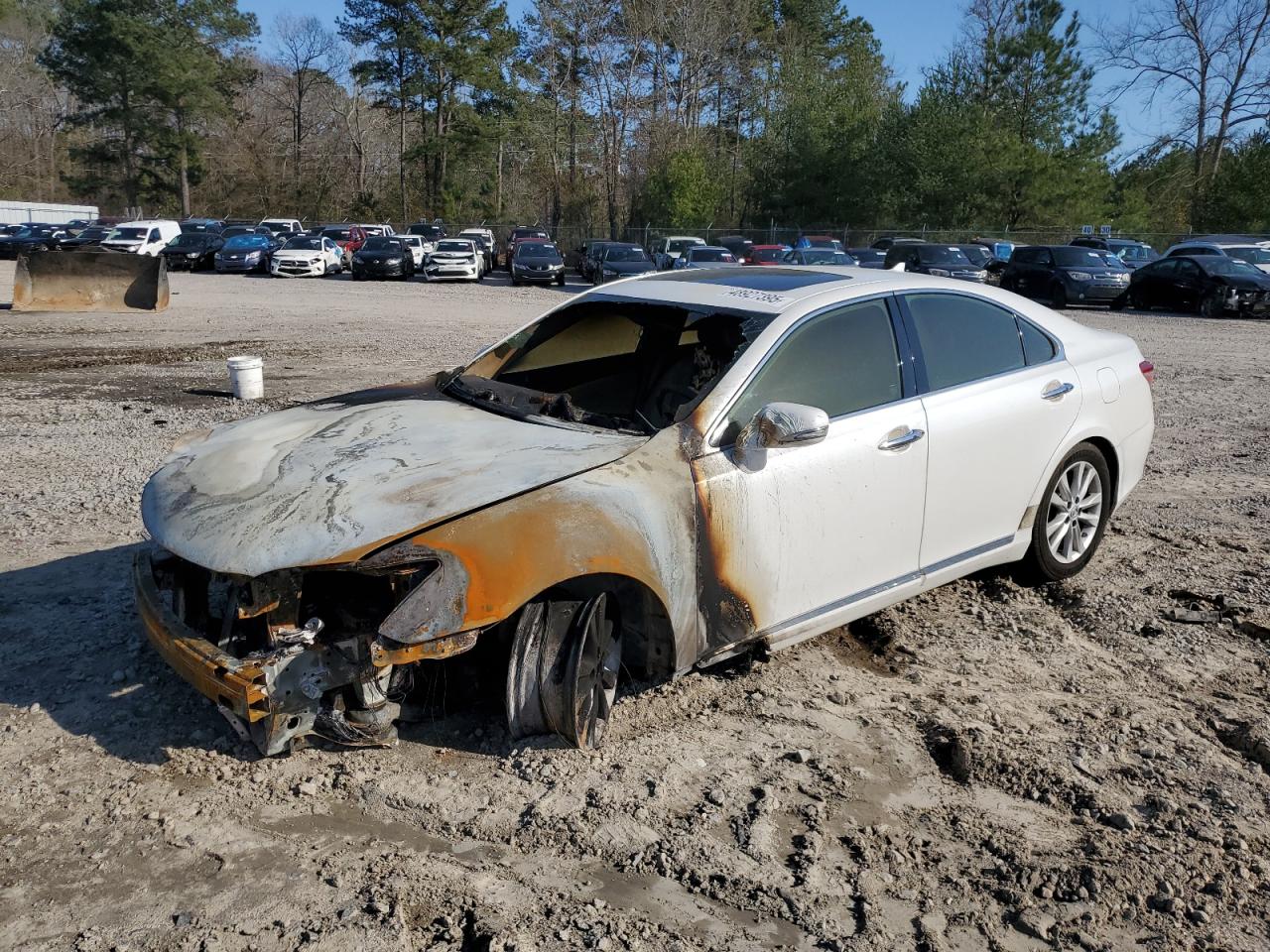 LEXUS ES 350