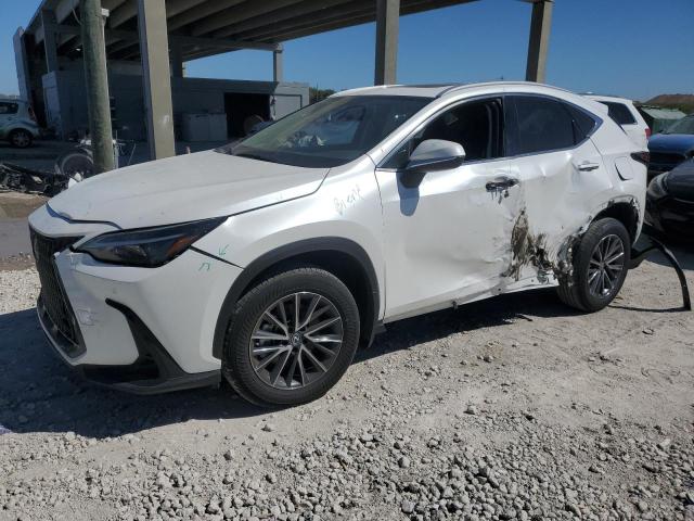 Vin: 2t2ggcez7nc013064, lot: 47458895, lexus nx 350 350 2022 img_1