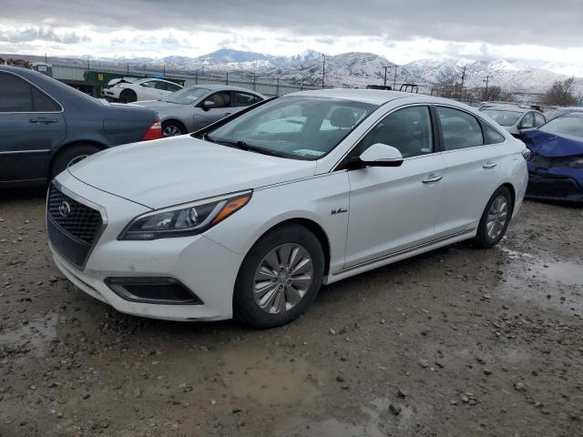 HYUNDAI SONATA HYBRID