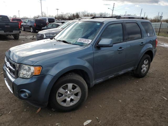 Vin: 1fmcu0eg6akd01137, lot: 50312075, ford escape limited 2010 img_1