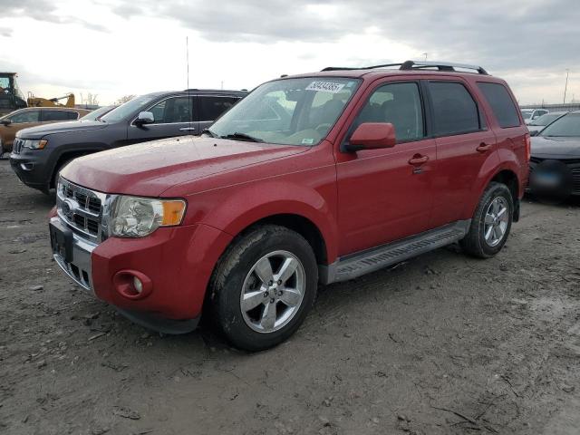 Vin: 1fmcu0e79bkc51335, lot: 50434385, ford escape limited 2011 img_1
