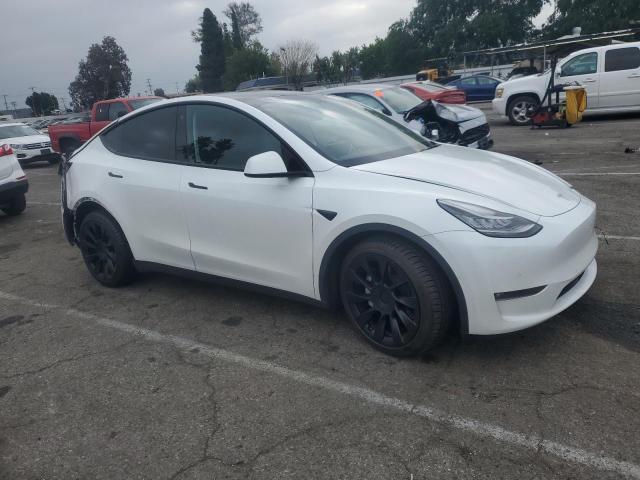 2023 TESLA MODEL Y - 7SAYGDEE3PF583883