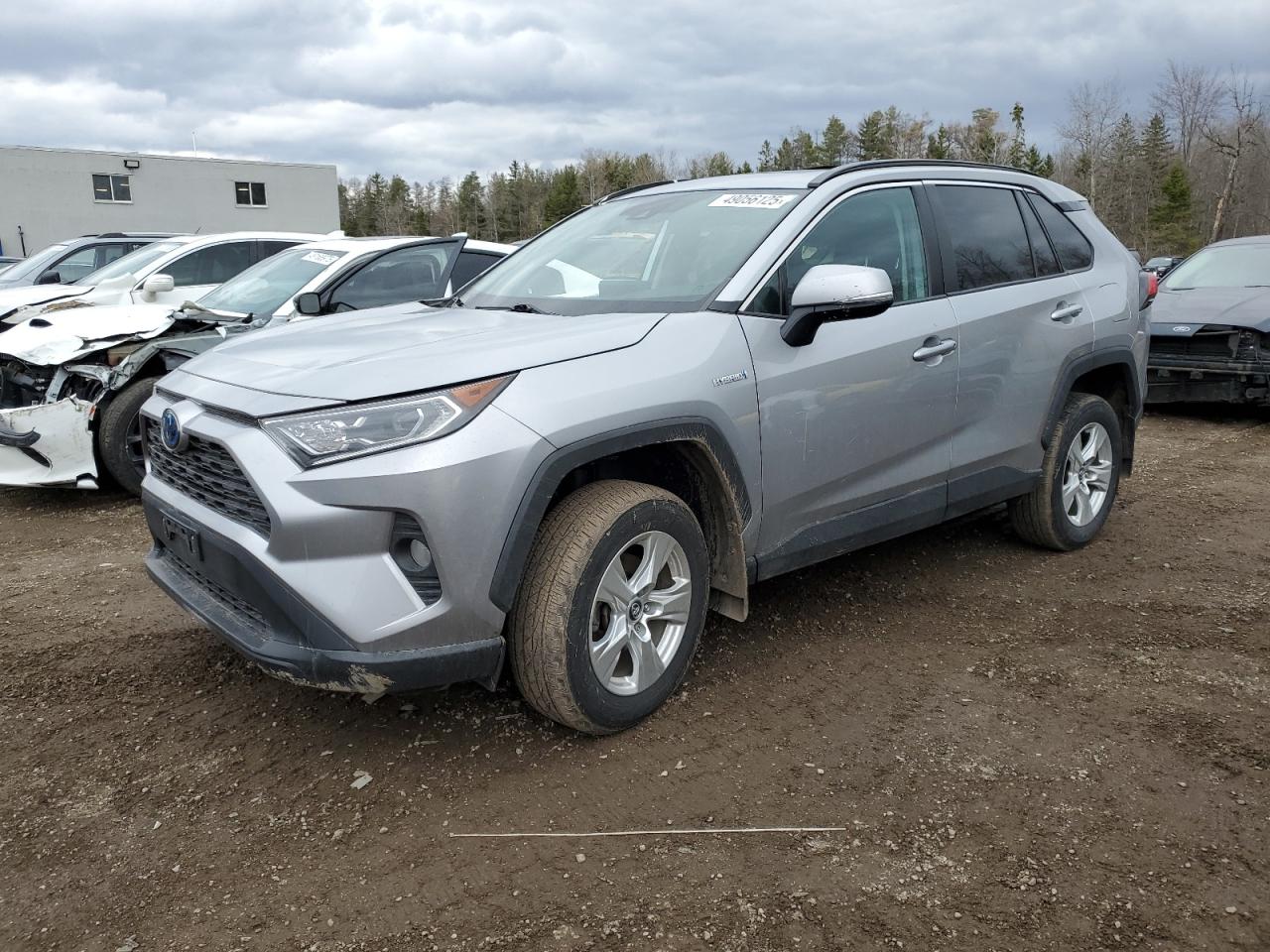 TOYOTA RAV4 XLE