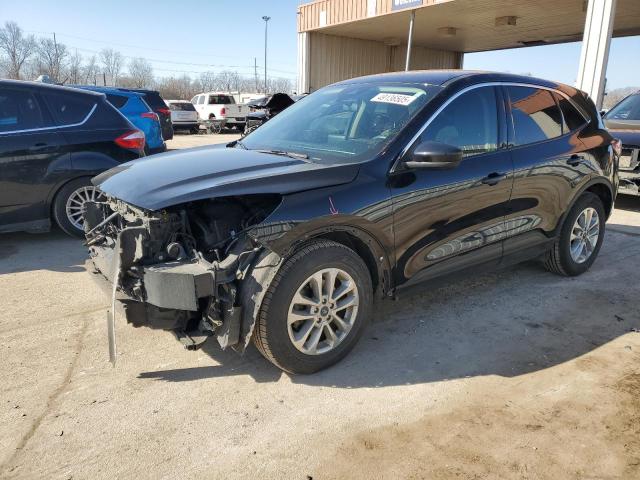 Vin: 1fmcu0g68lub55755, lot: 49136505, ford escape se 2020 img_1