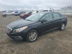 2016 HYUNDAI SONATA SE - 5NPE24AF3GH284974