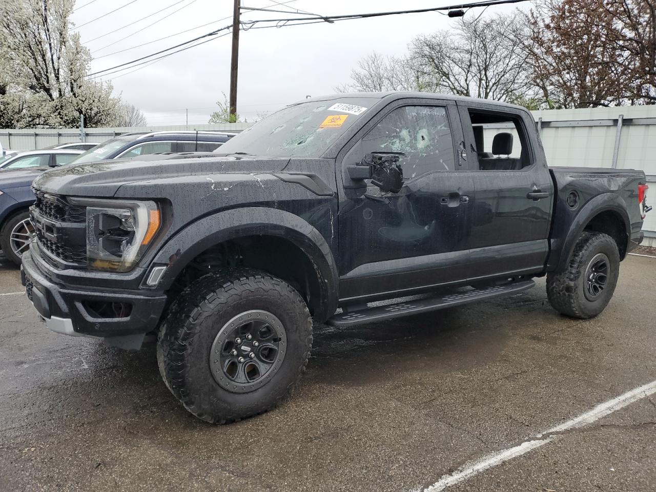 FORD F-150 RAPTOR