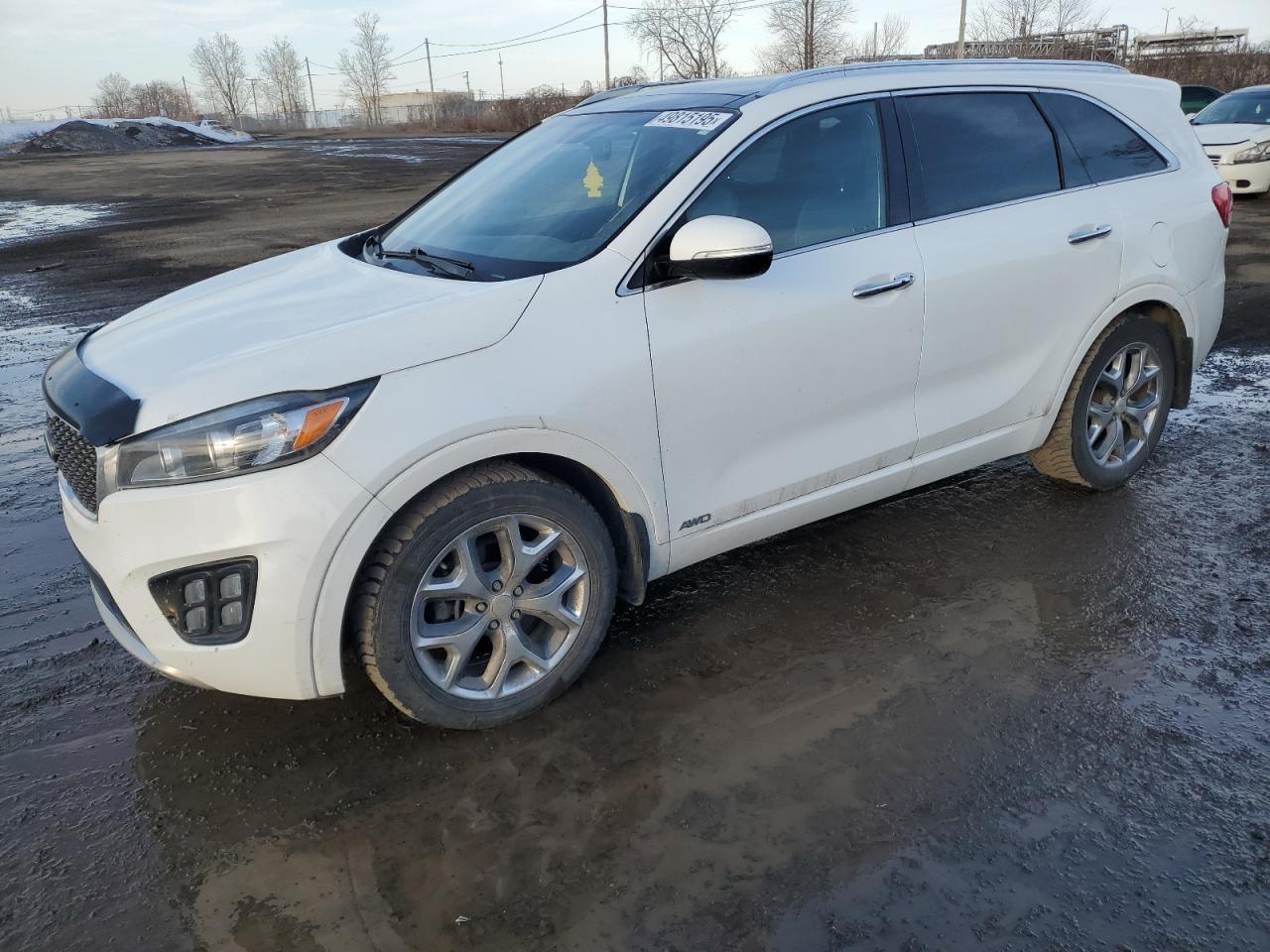 car imagge