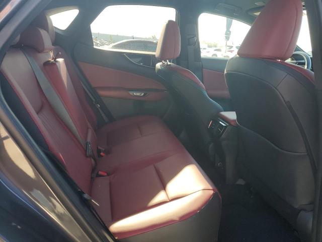2024 LEXUS NX 250 BAS 2T2ADCAZ5RC008083