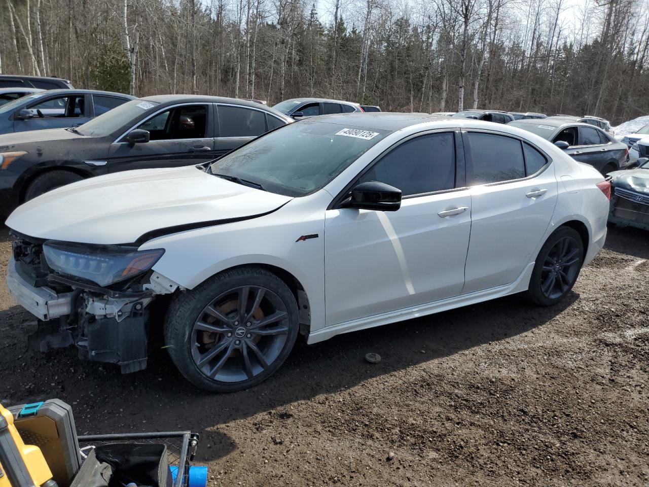 ACURA TLX ADVANCE