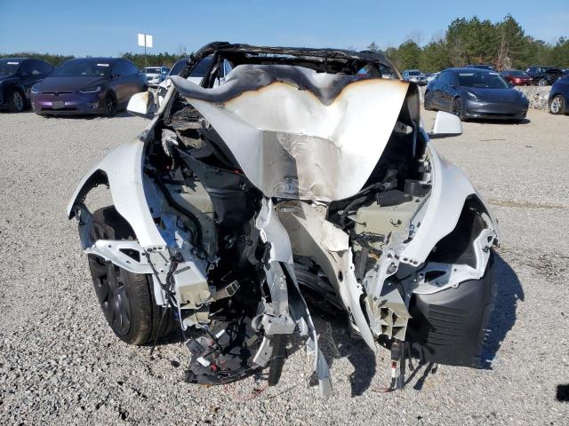 2024 TESLA MODEL Y - 7SAYGDEF5RF183755