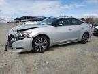2017 NISSAN MAXIMA 3.5 - 1N4AA6APXHC425967