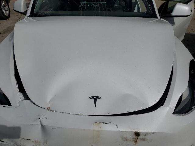 2023 TESLA MODEL Y #3296289417