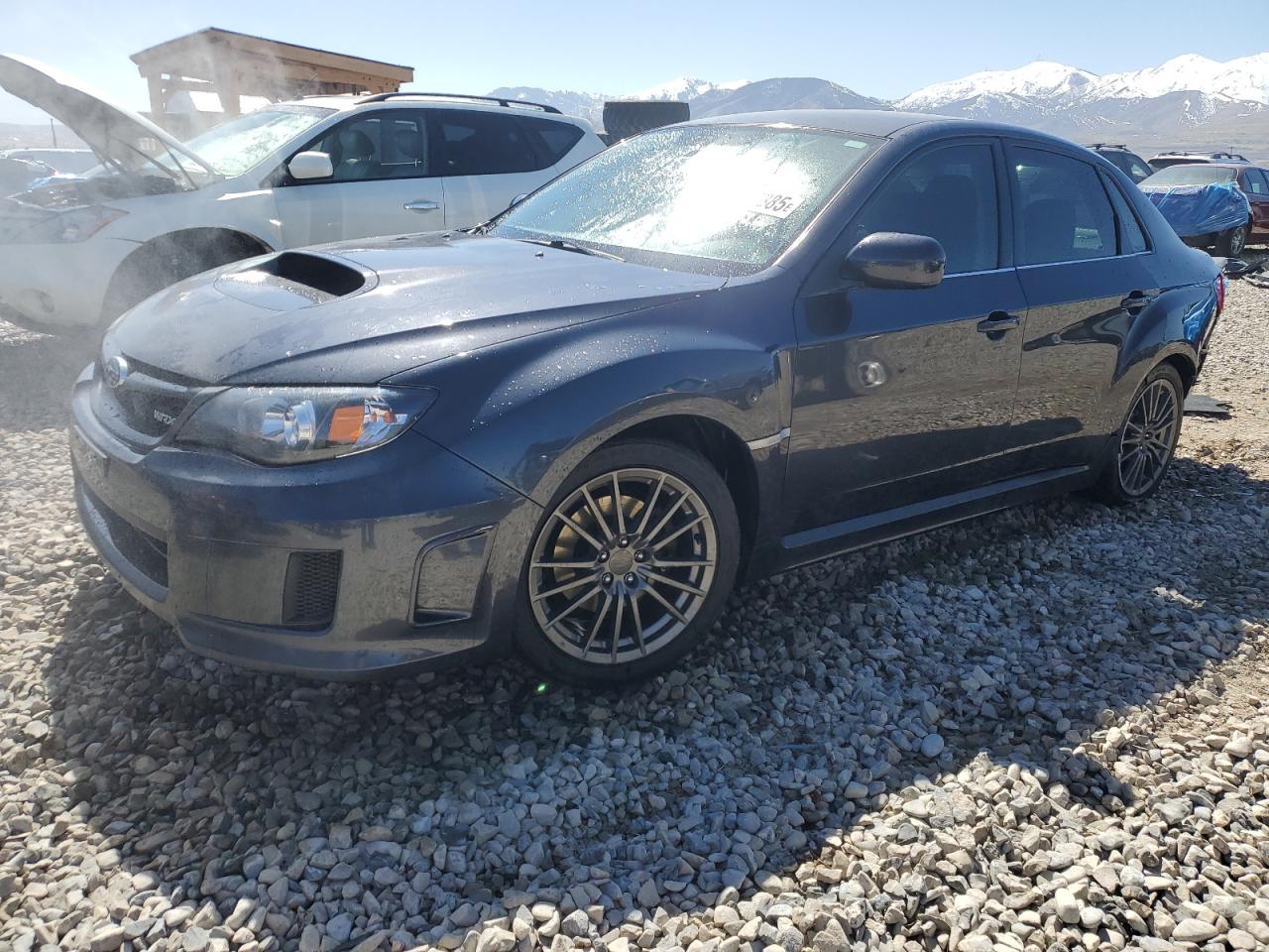 SUBARU WRX
