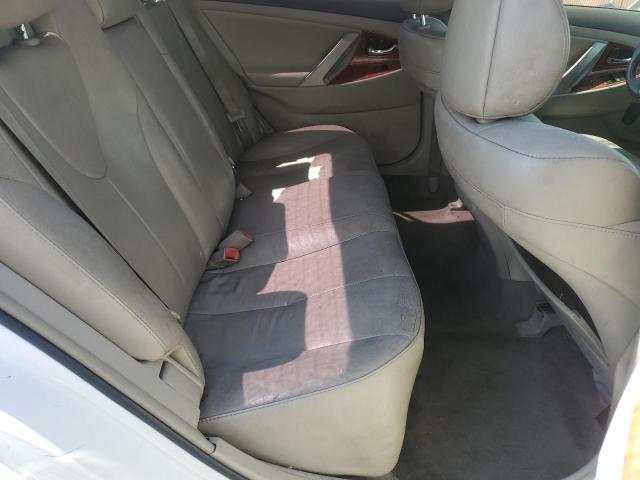 2010 TOYOTA CAMRY BASE - 4T1BF3EK3AU558384