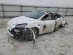 2023 TESLA MODEL Y - 7SAYGDEE2PA145160
