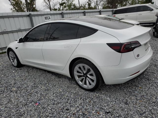 2023 TESLA MODEL 3 - 5YJ3E1EA7PF446857