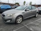 Top Destinations for Shipping Cars from the USA