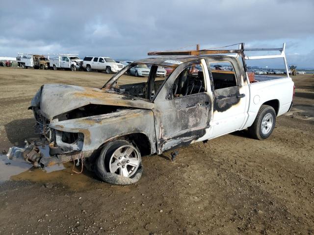 DODGE DAKOTA SXT 2008 white crew pic gas 1D7HE38K68S573308 photo #1