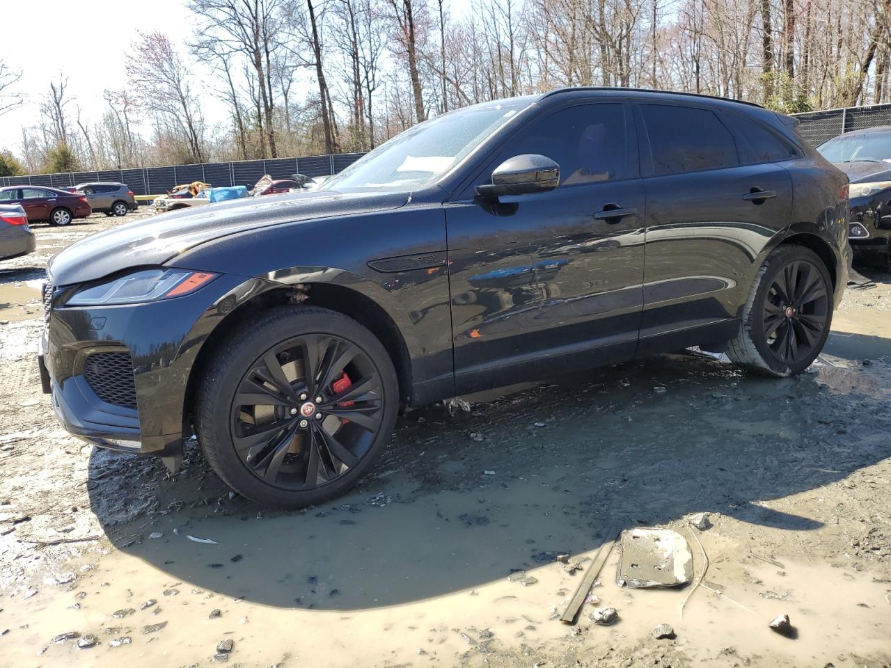 JAGUAR F-PACE R-DYNAMIC S