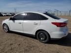 Lot #3115068874 2016 FORD FOCUS SE
