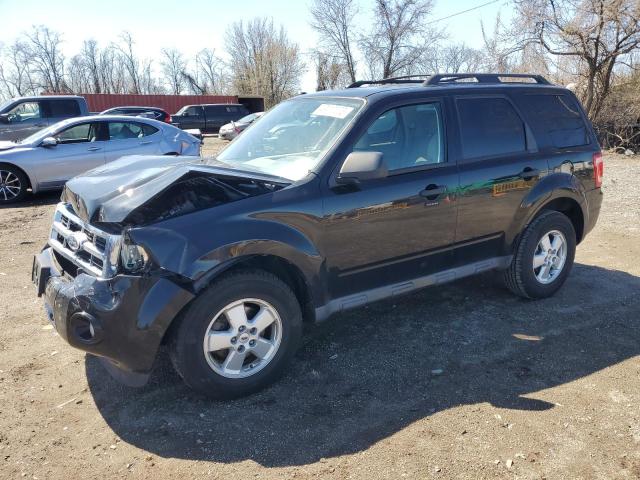 Vin: 1fmcu0d79akc14494, lot: 49918205, ford escape xlt 2010 img_1