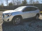 2020 GMC TERRAIN SL - 3GKALPEVXLL105391