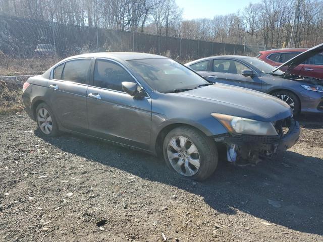 2010 HONDA ACCORD EXL - 5KBCP3F88AB003143