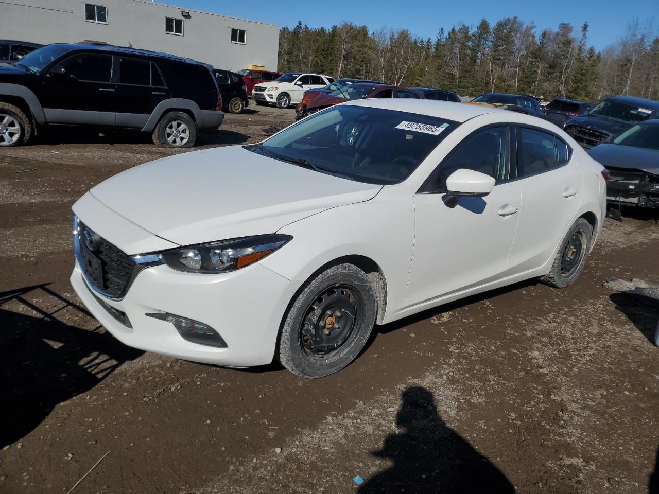 car imagge