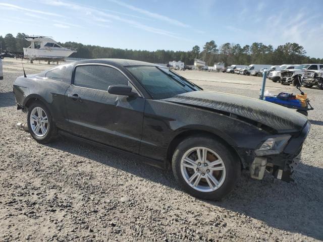 Vin: 1zvbp8am8d5250595, lot: 49221045, ford all models 20134