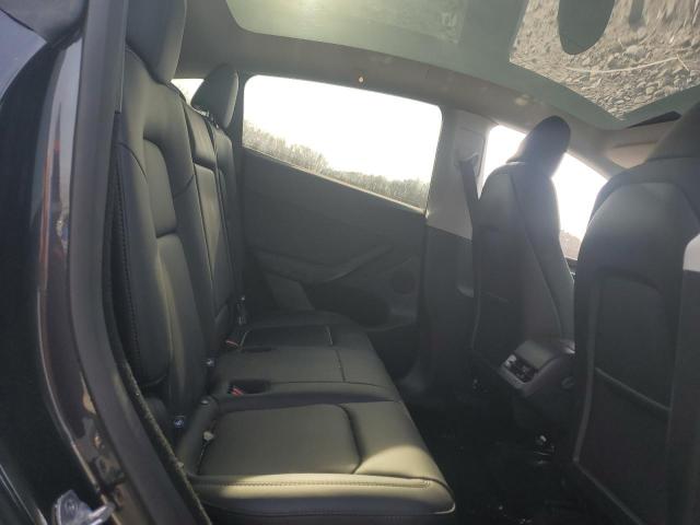 2025 TESLA MODEL Y - 7SAYGDEE9SF224174