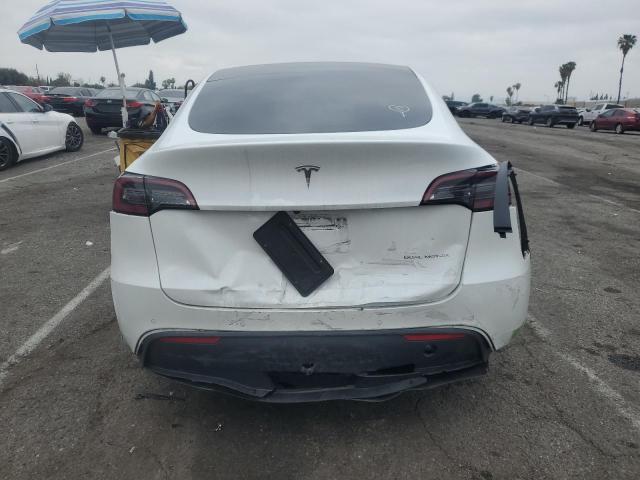 2023 TESLA MODEL Y - 7SAYGDEE3PF583883