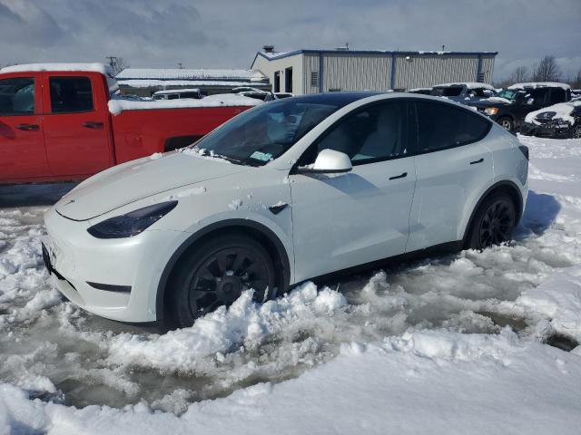 2021 TESLA MODEL Y #3113703738