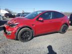 2020 TESLA MODEL Y - 5YJYGDEE7LF008743