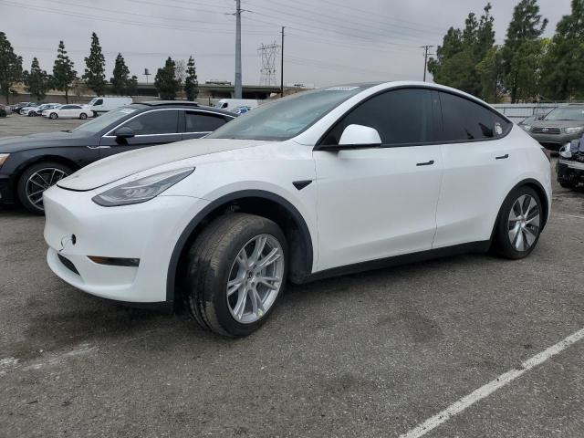 Vin: 7saygdee5nf352075, lot: 50799895, tesla model y 2022 img_1