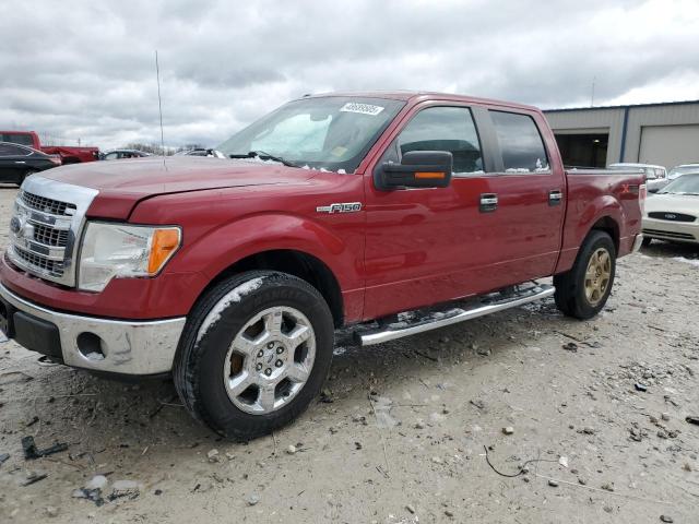 Vin: 1ftfw1ef7efa88187, lot: 48689505, ford f-150 supercrew 2014 img_1