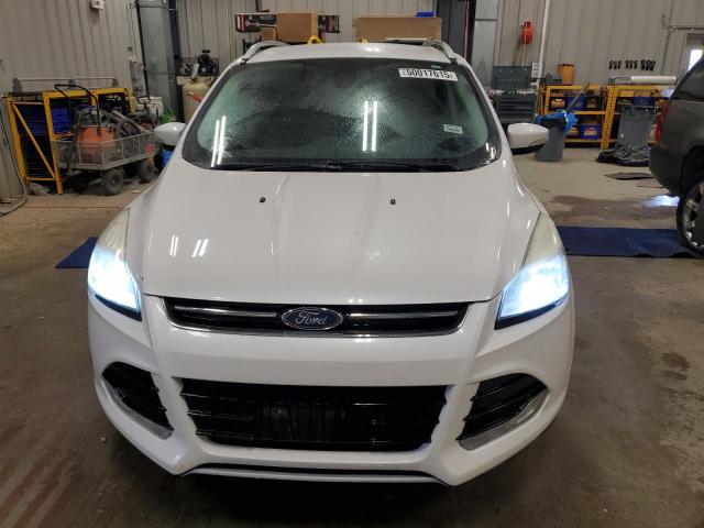 2014 FORD ESCAPE TIT - 1FMCU0J90EUD98174