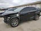 2016 LEXUS NX 200T BA - JTJBARBZ5G2076542