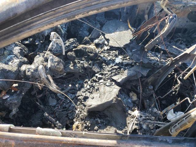 2024 TOYOTA CAMRY XLE - 4T1F11BK7RU108175