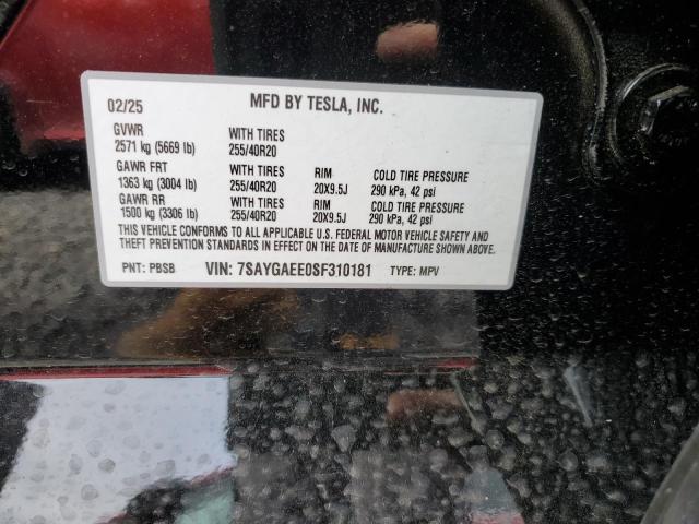 2025 TESLA MODEL Y - 7SAYGAEE0SF310181