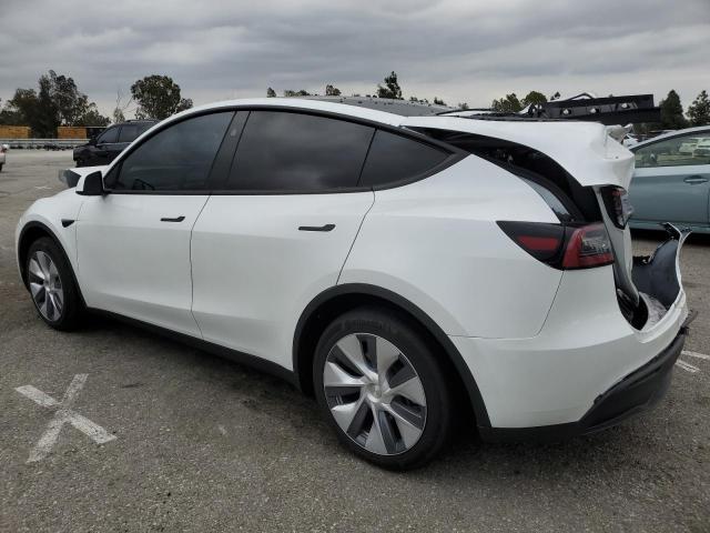 Vin: 7saygdee8rf088808, lot: 50406865, tesla model y 20242