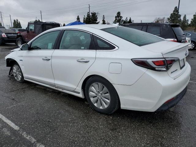 HYUNDAI SONATA HYB 2016 white  hybrid engine KMHE24L13GA012252 photo #3